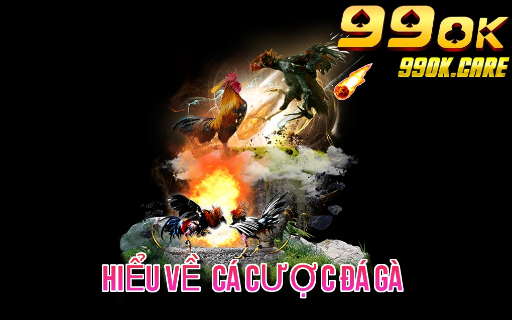 Hiểu Về Cá Cược Đá Gà